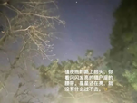 2f9269ec125a4d06a62ce11034542b34.png image.png